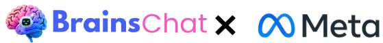 Brainschat x Meta